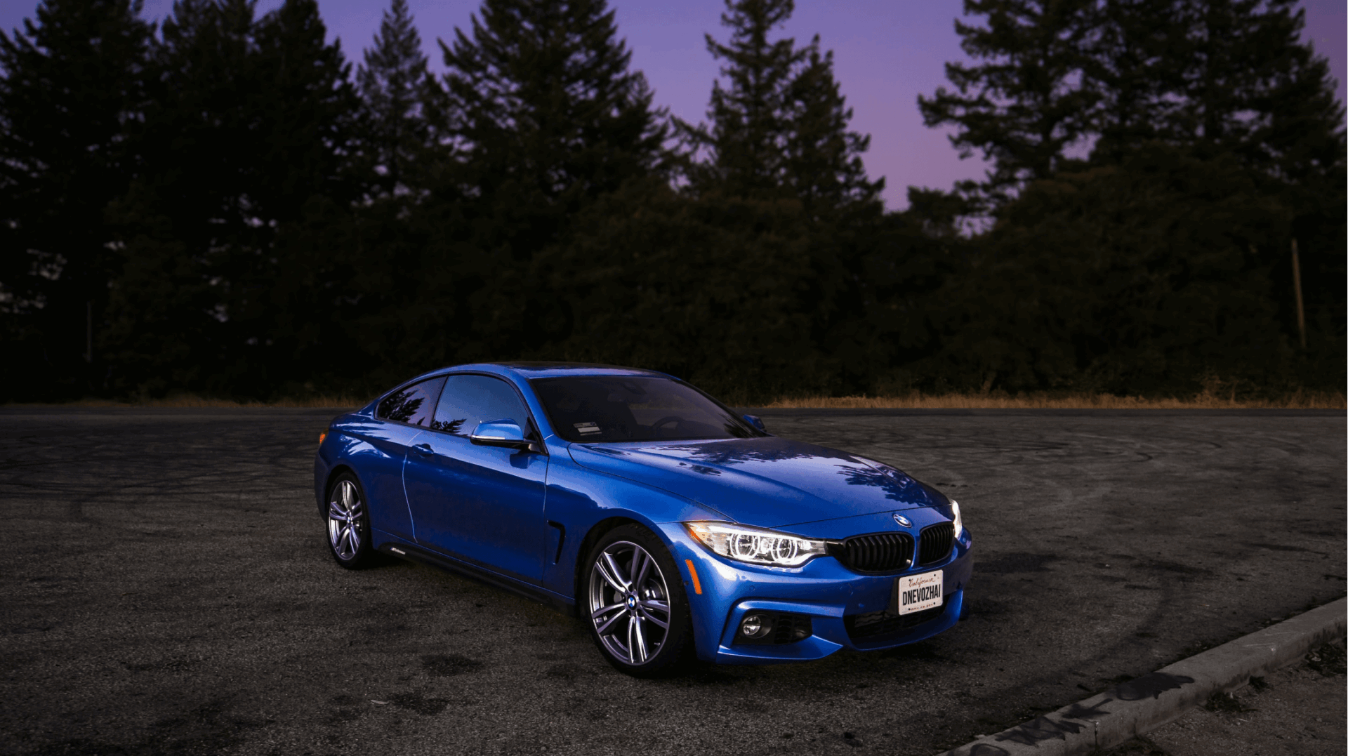 Auto Detailing