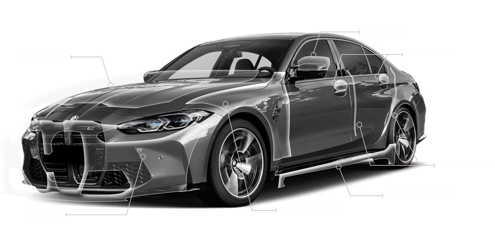Auto Detailing