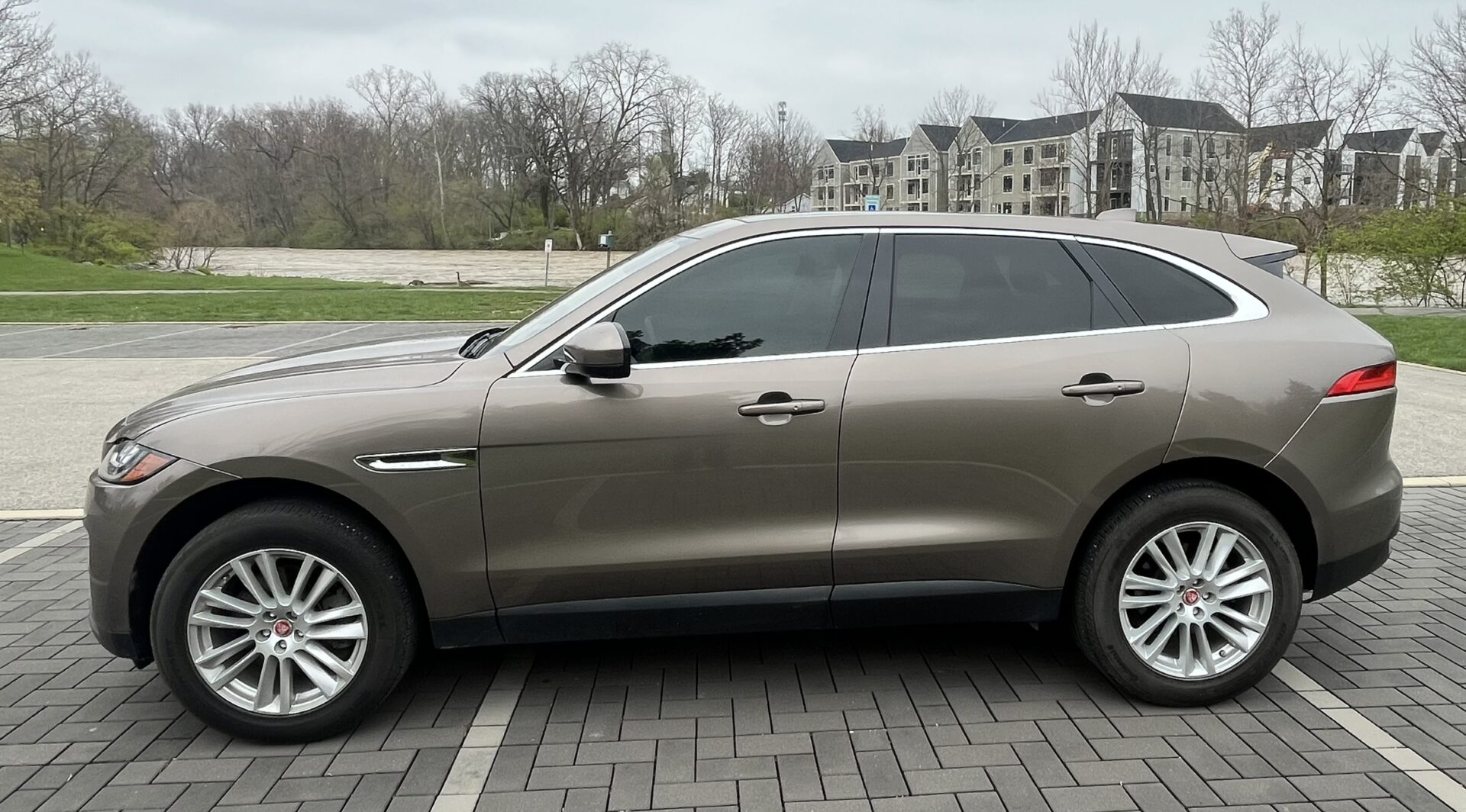 Auto Detailing