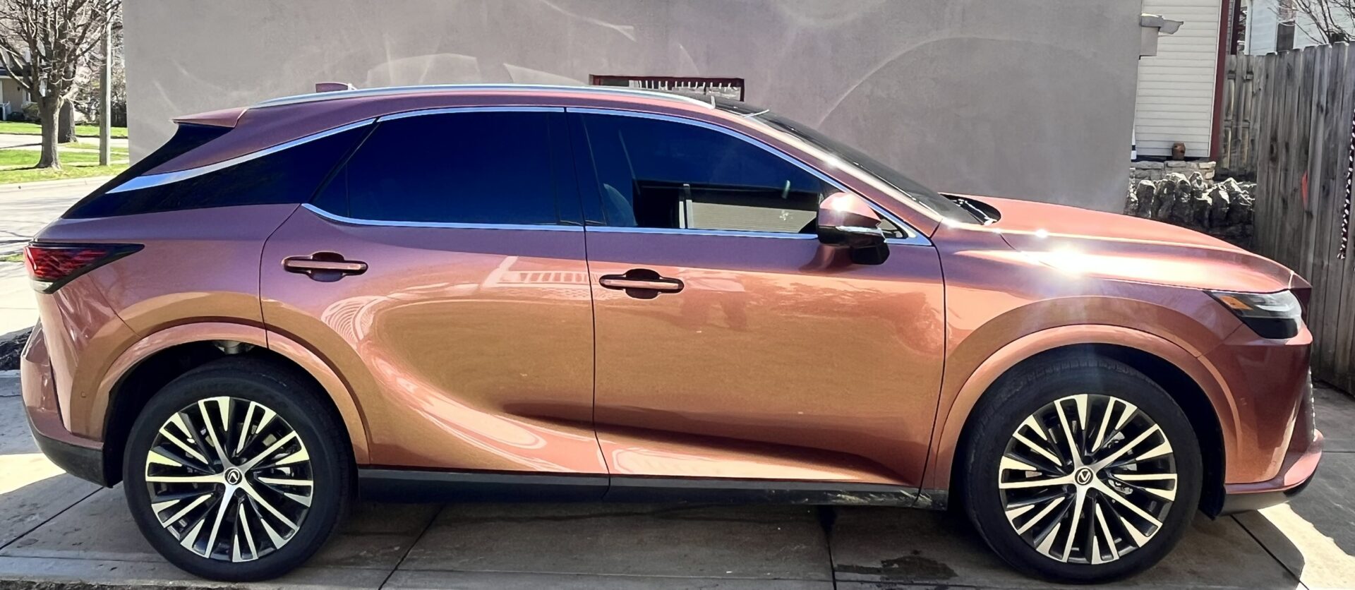Auto Detailing