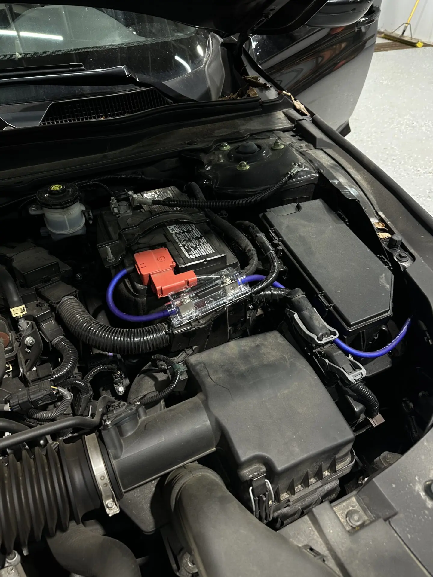 Car audio Auto Detailing