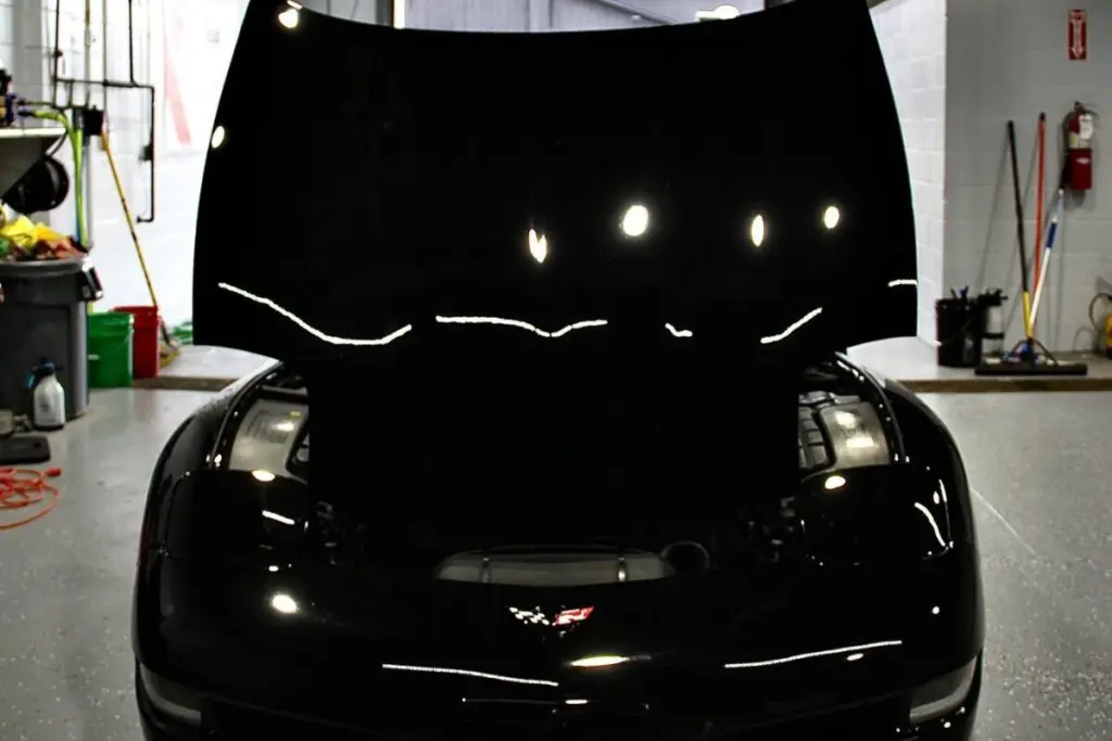 paint protection film