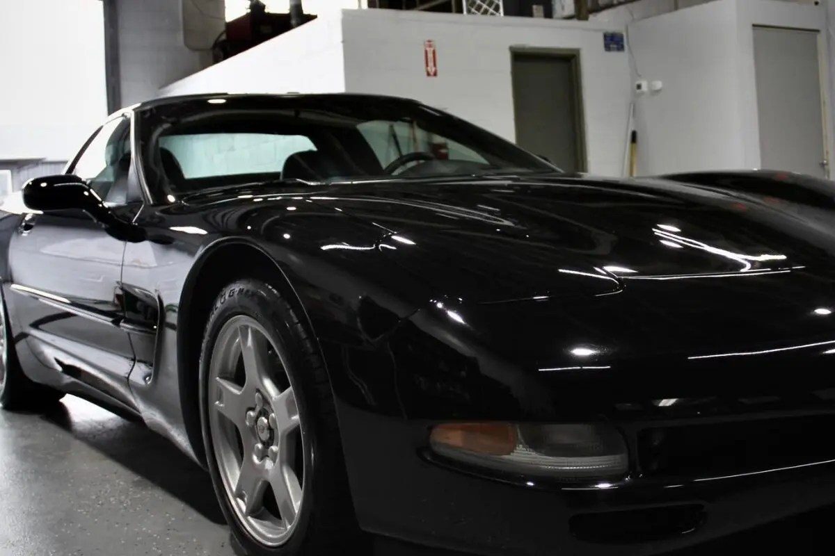 paint protection film