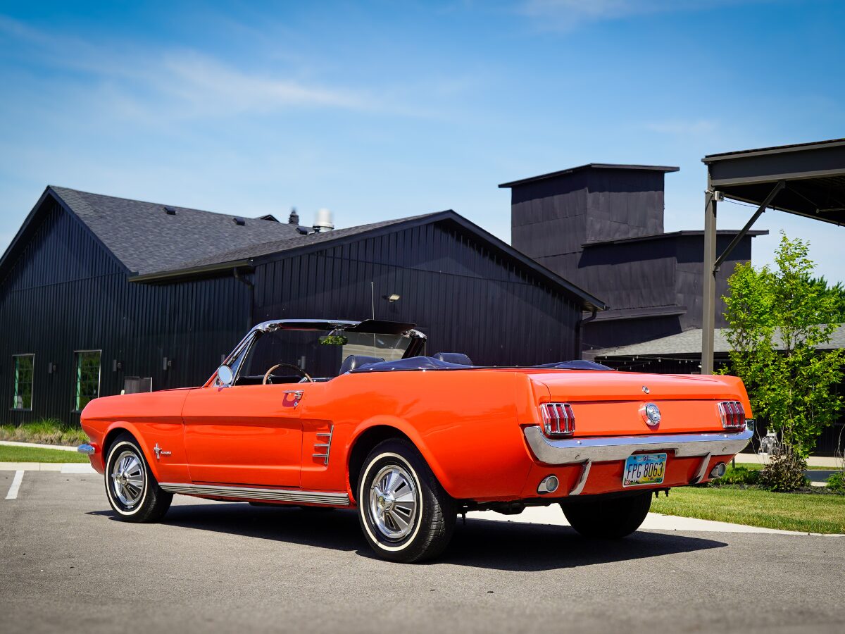 what is paint correction